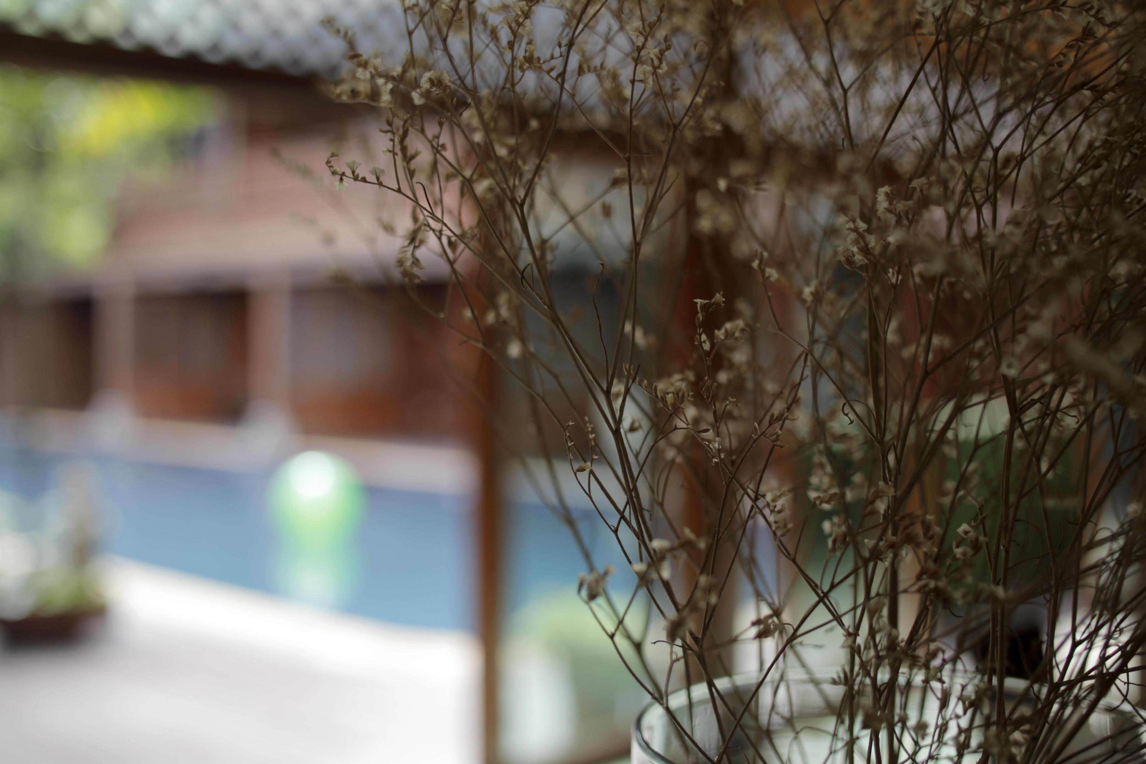 Baan U Sabai Boutique House-Sha Plus Chiang Mai Zewnętrze zdjęcie